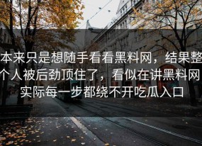 本来只是想随手看看黑料网，结果整个人被后劲顶住了，看似在讲黑料网，实际每一步都绕不开吃瓜入口