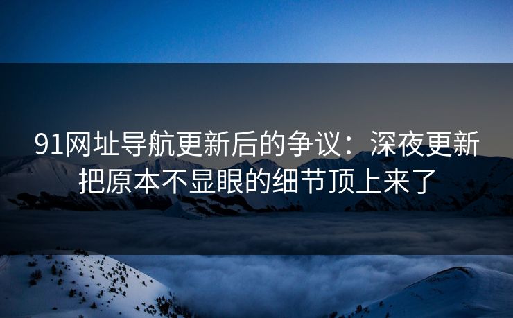 91网址导航更新后的争议：深夜更新把原本不显眼的细节顶上来了